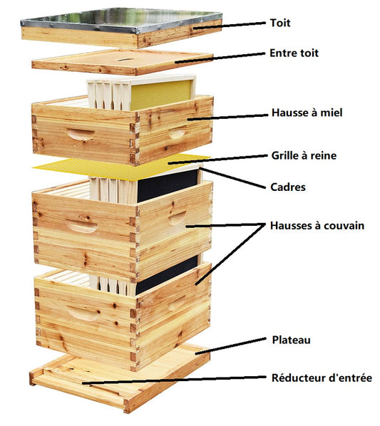 Les composantes d'une ruche
